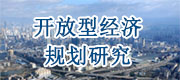 開放型經濟規劃研究